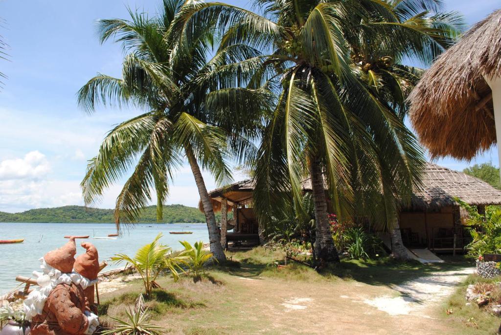 Coral Bay Beach And Dive Resort Busuanga Quarto foto