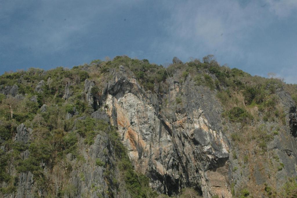 Coral Bay Beach And Dive Resort Busuanga Exterior foto